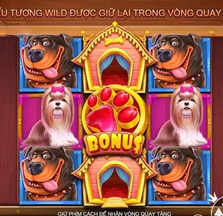 Cách chơi The Dog House Slot – Những chú chó