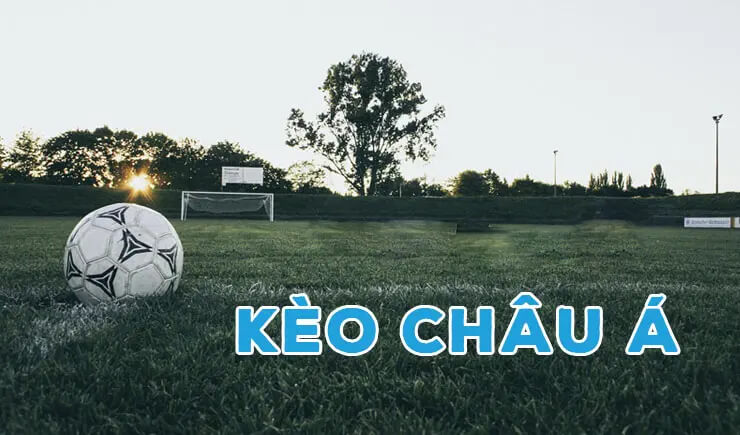 Kèo châu Á là gì và kinh nghiệm chơi kèo châu Á hiệu quả