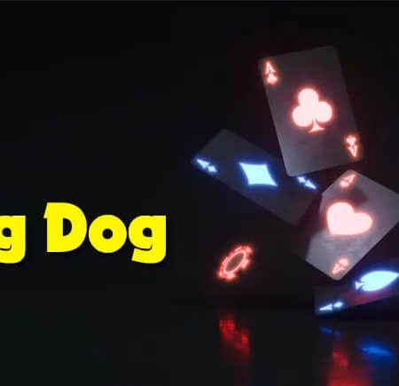 Khám phá cách chơi bài Red Dog chi tiết tại sòng casino