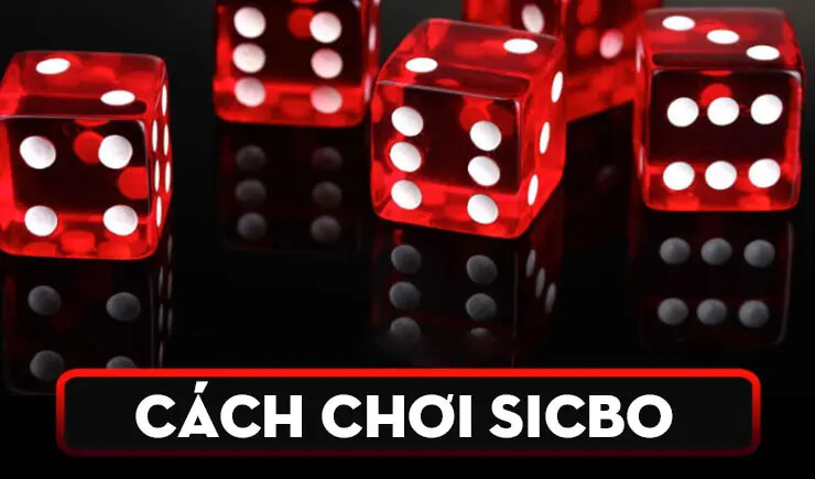 Hướng dẫn chơi Sicbo Online – Kinh nghiệm chơi Sicbo dễ thắng